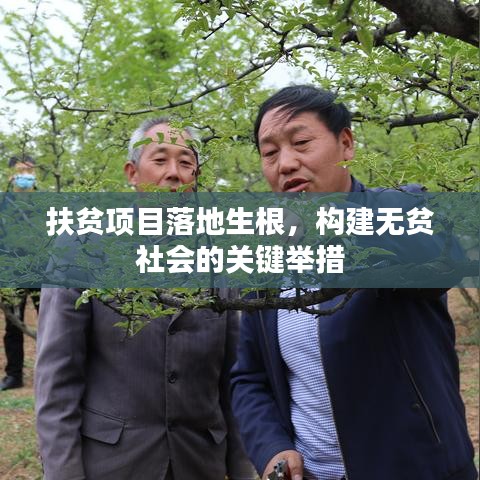 扶贫项目落地生根，构建无贫社会的关键举措