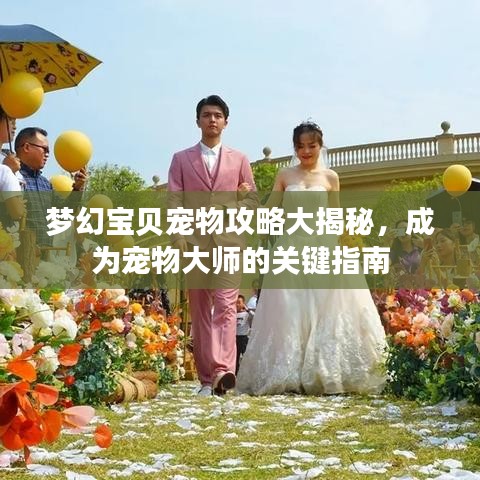 梦幻宝贝宠物攻略大揭秘，成为宠物大师的关键指南